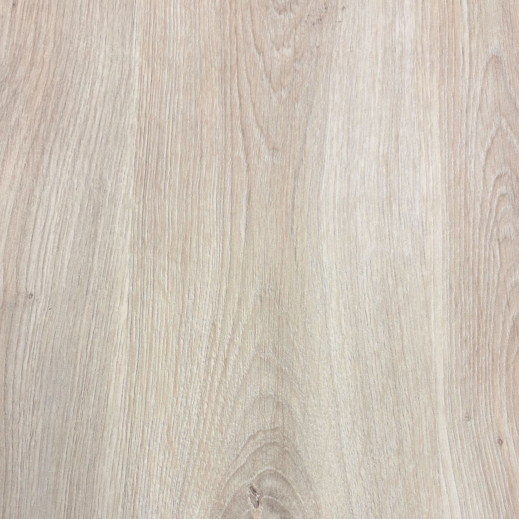 Snow-Oak